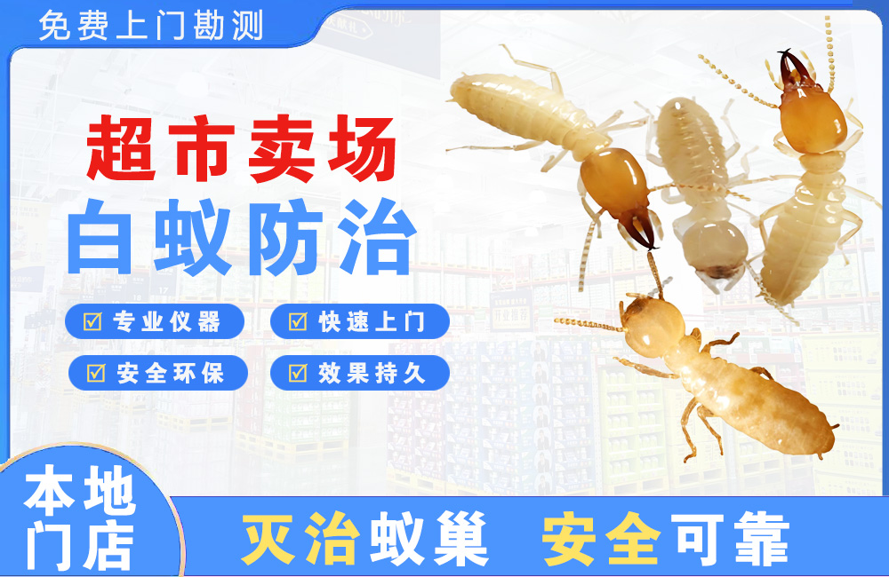 肇庆超市卖场白蚁防治