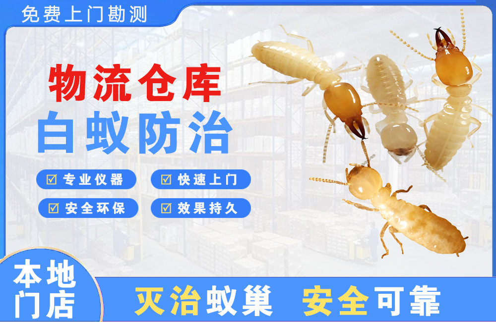肇庆物流仓库白蚁防治