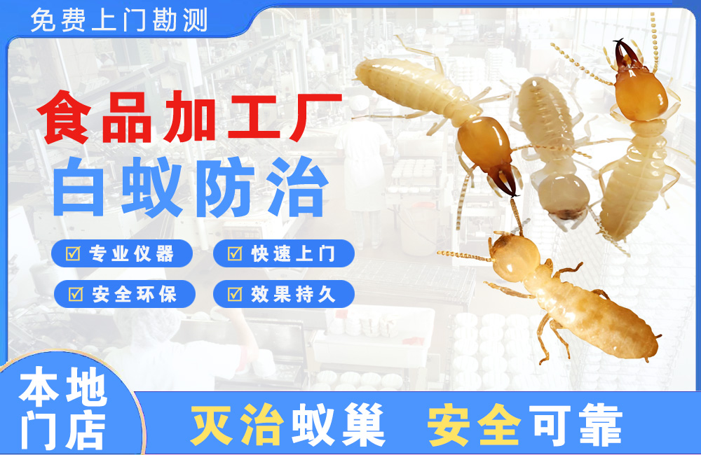 肇庆食品加工厂白蚁防治