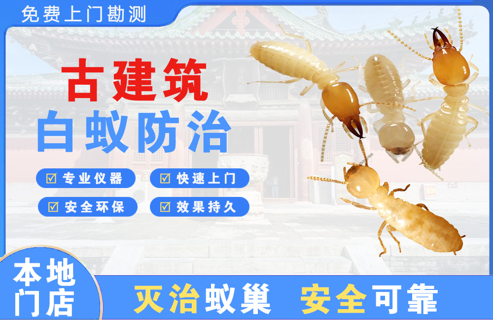肇庆古建筑白蚁防治