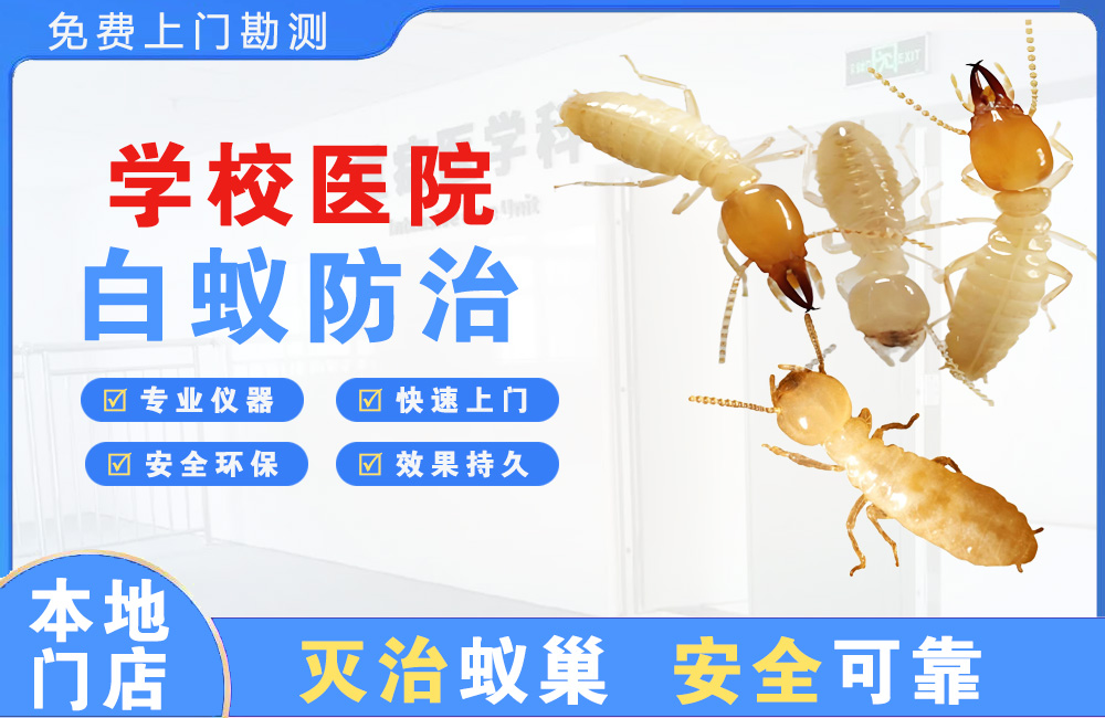 肇庆学校医院白蚁防治