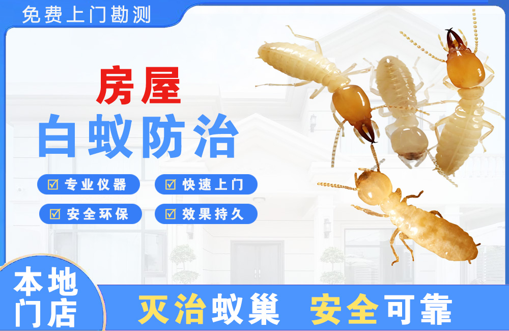 肇庆房屋白蚁防治