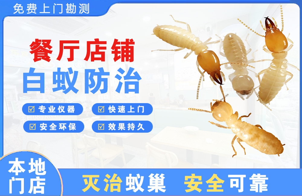 肇庆餐厅店铺白蚁防治
